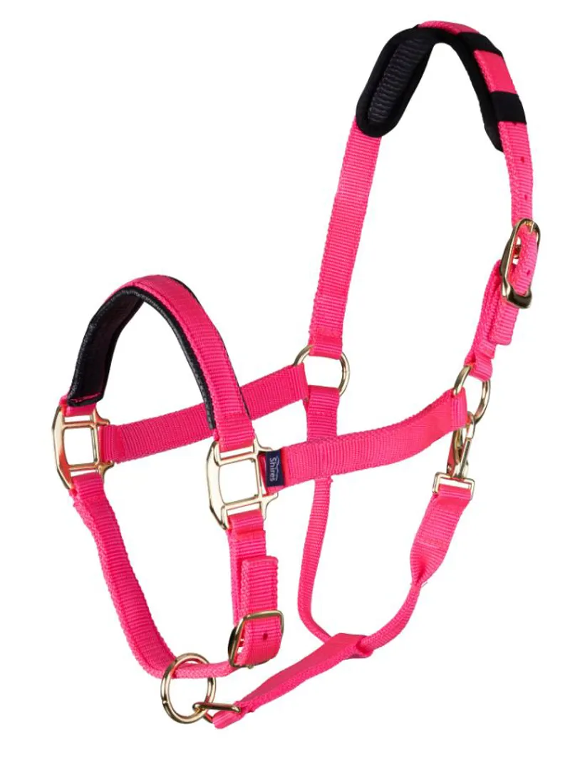 Shires Topaz Nylon Headcollar in Pink